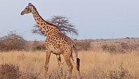 Smile With Us Tours In Africa