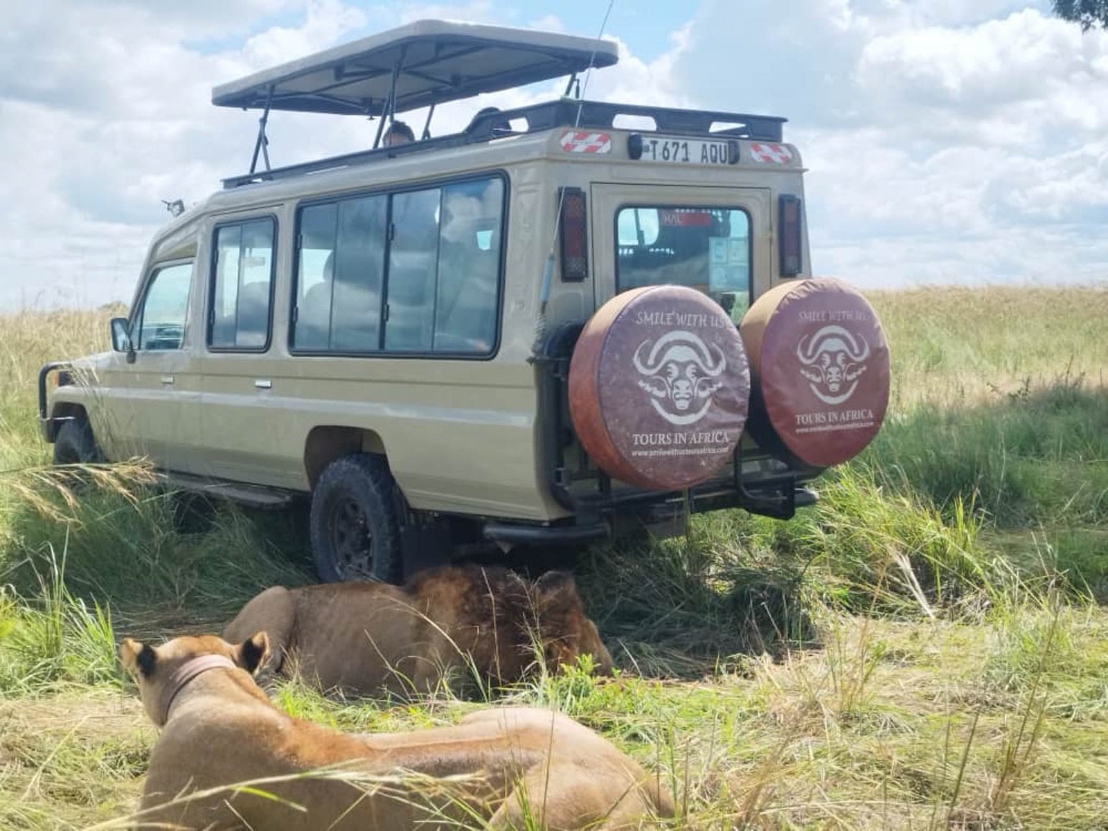 Safari Vendors
