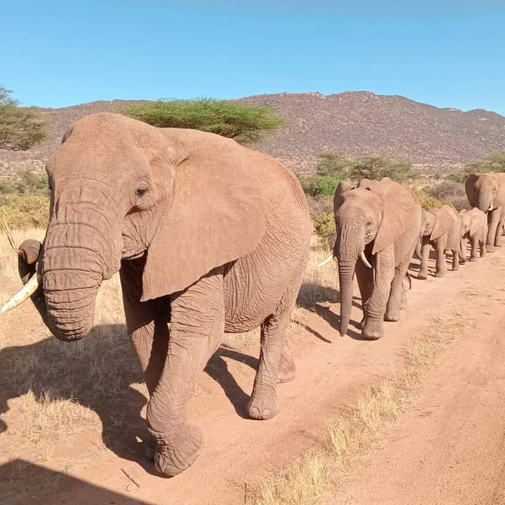 4-Day Masai Mara & Hells Shared Jeep Safari gallery image