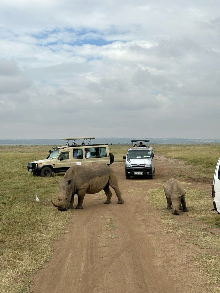4-Day Masai Mara & Hells Shared Jeep Safari