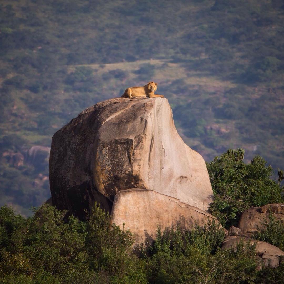 Smile With Us Tours In Africa