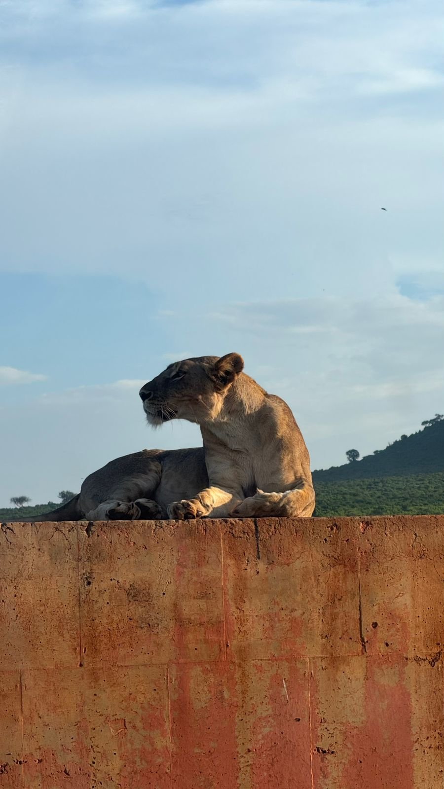Africa Starpal Safaris