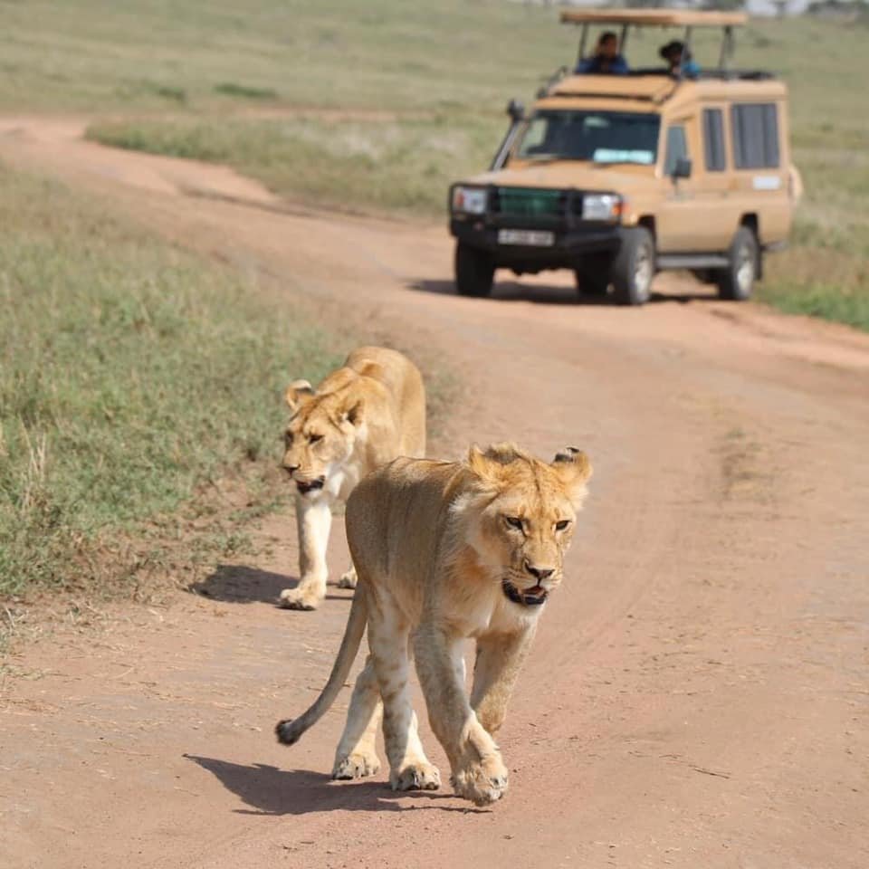 Golden Trips Tanzania