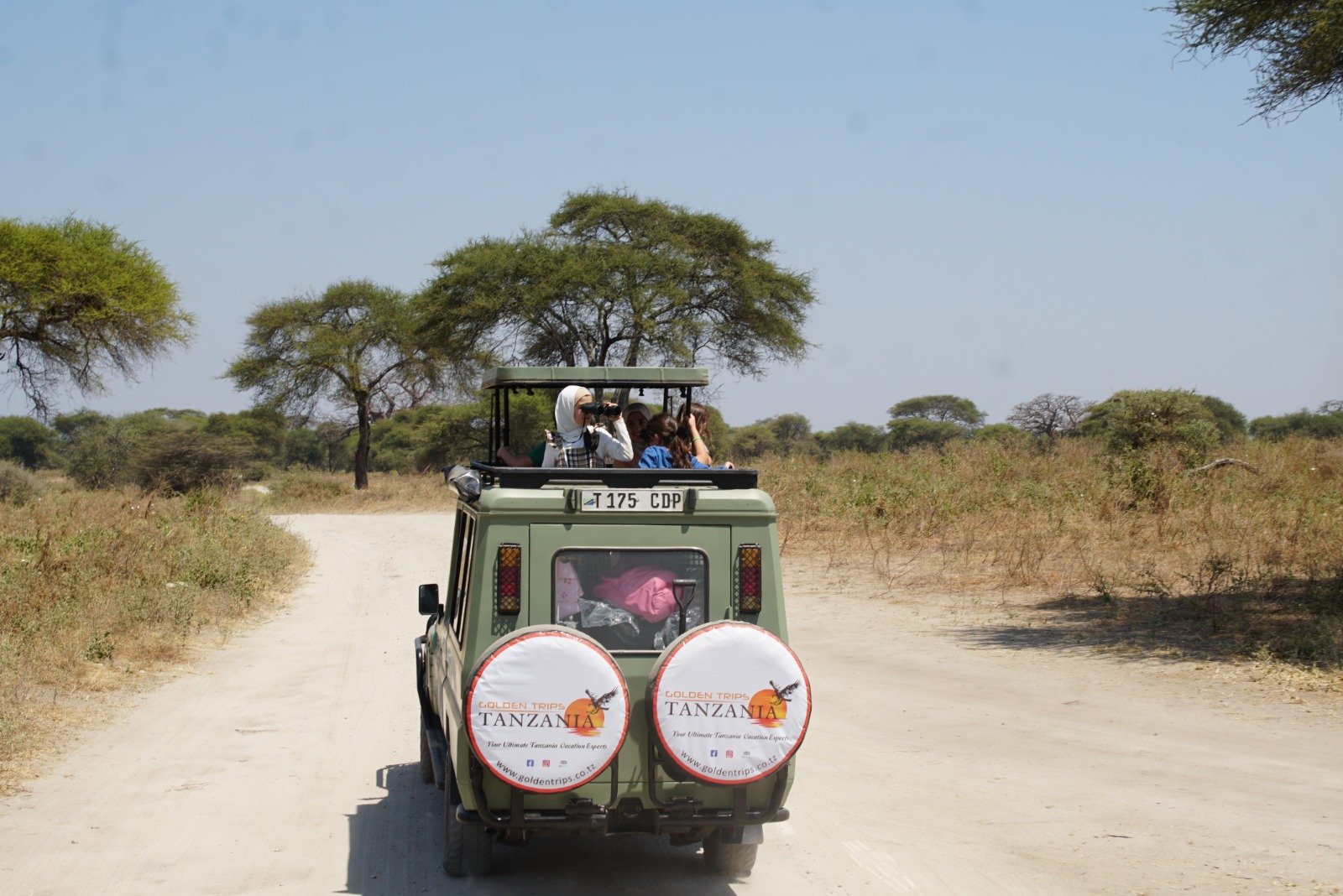 Safari Vendors
