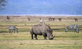 Golden Trips Tanzania