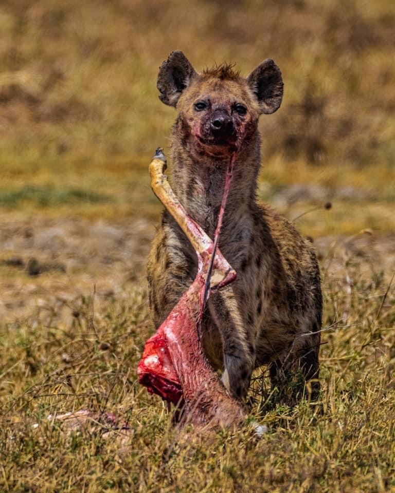 Golden Trips Tanzania