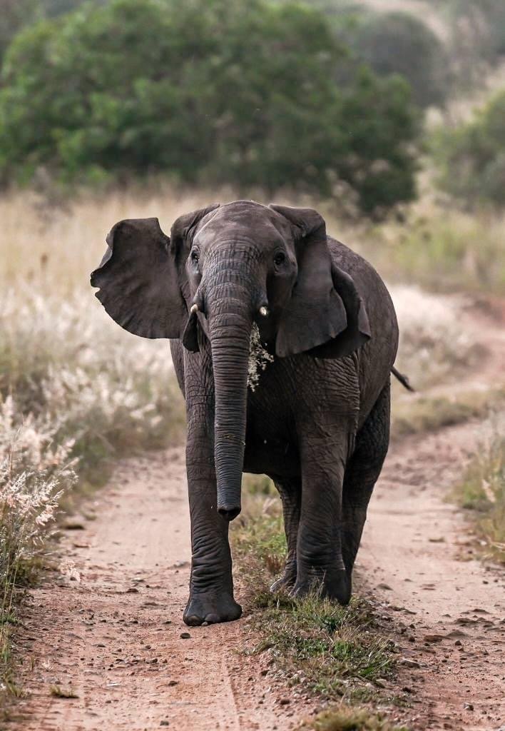 Golden Trips Tanzania