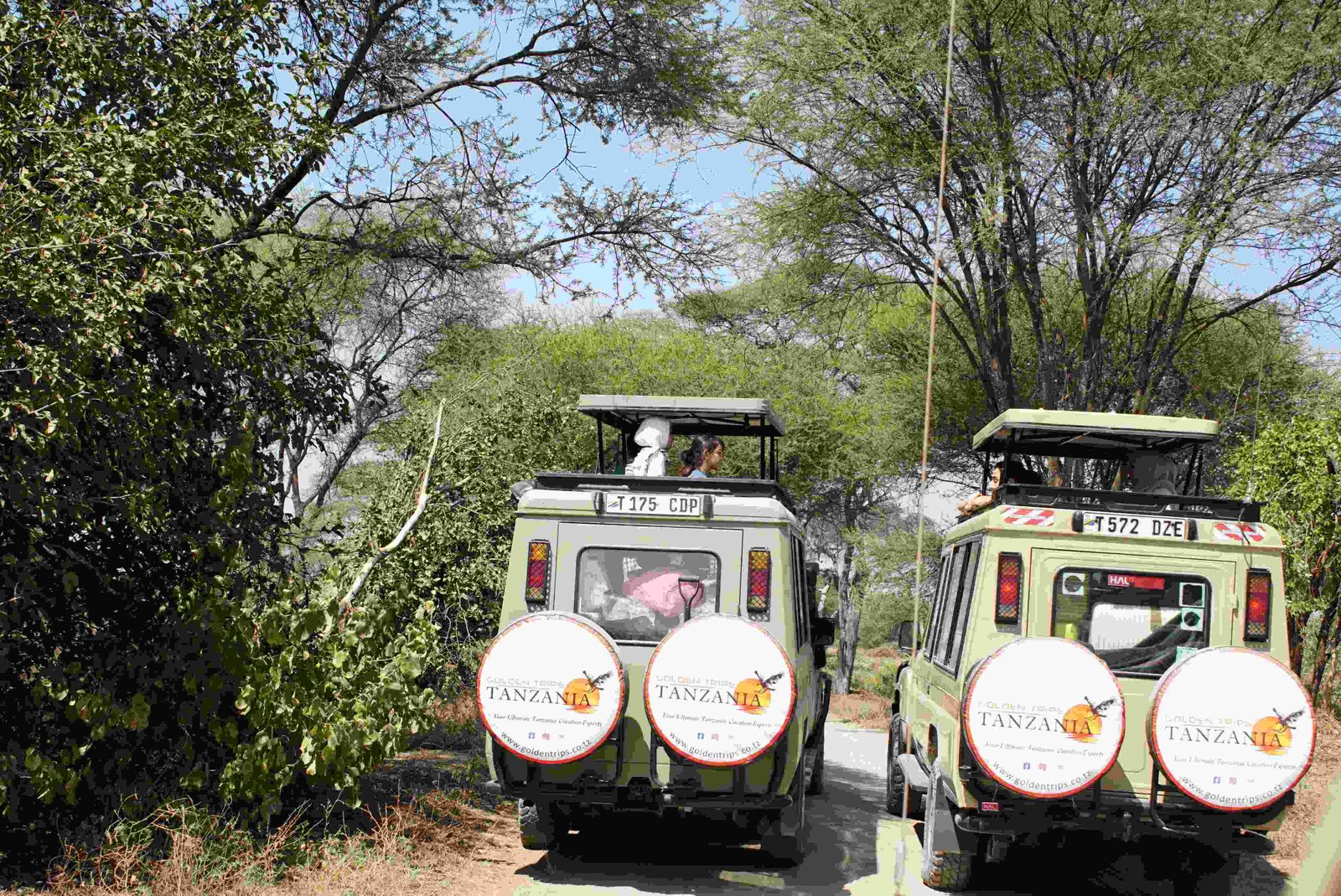 Safari Vendors