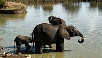 6-Day Tanzania Northern Safari+Hadzabe Tribe gallery image