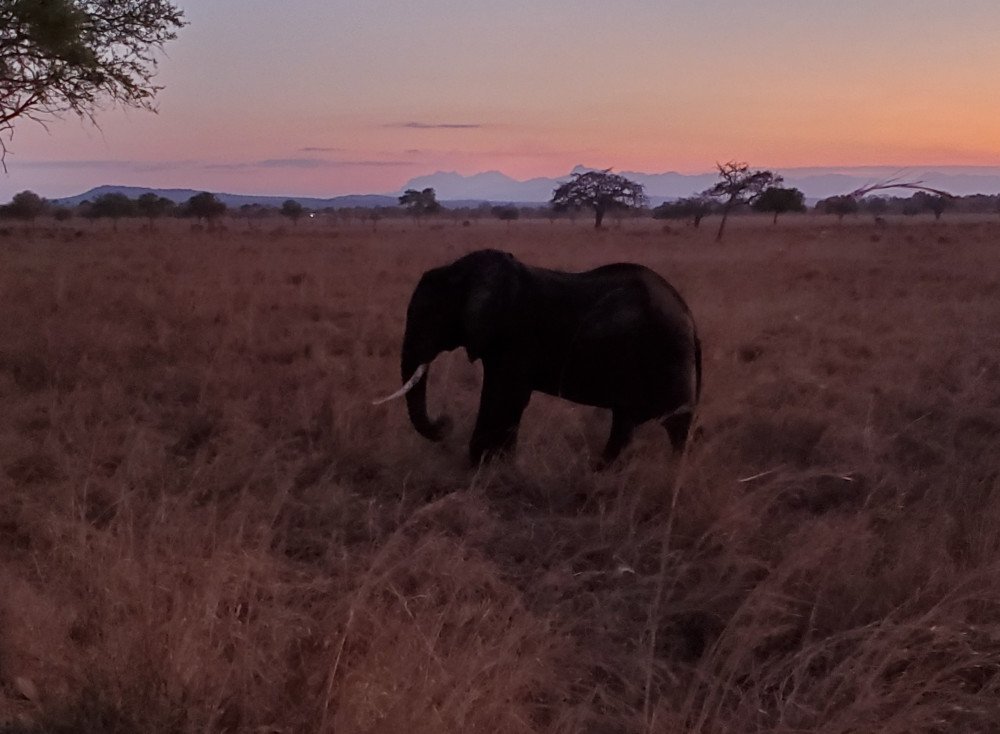 Smile With Us Tours In Africa