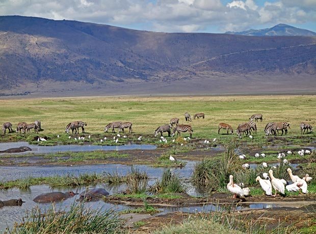 Tour Gallery Image 2