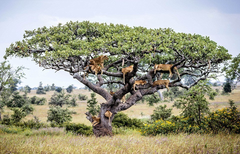 Tour Gallery Image 4