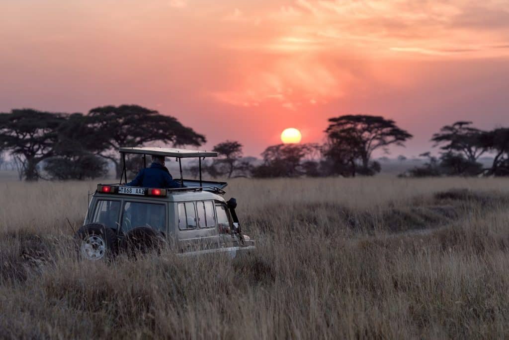 Alfamale tours & Safaris