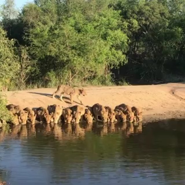 Smile With Us Tours In Africa