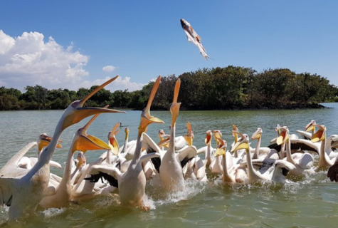 8-Day Discover Northern Ethiopia Tours gallery image