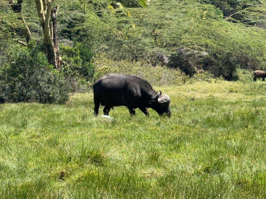 Tour Gallery Image 1