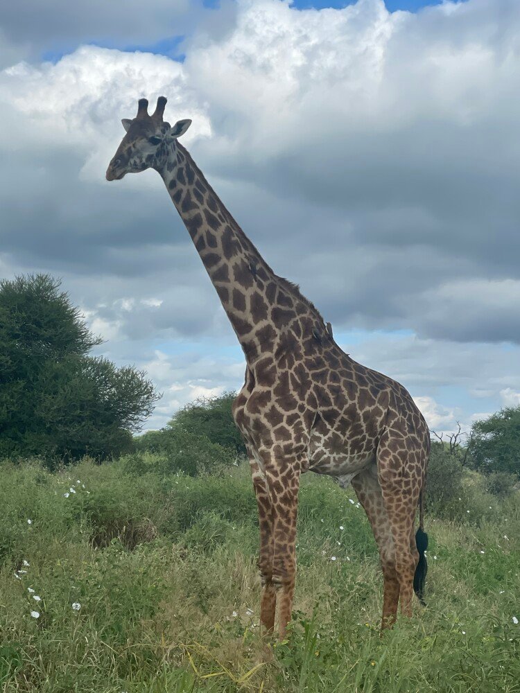 Tour Gallery Image 2