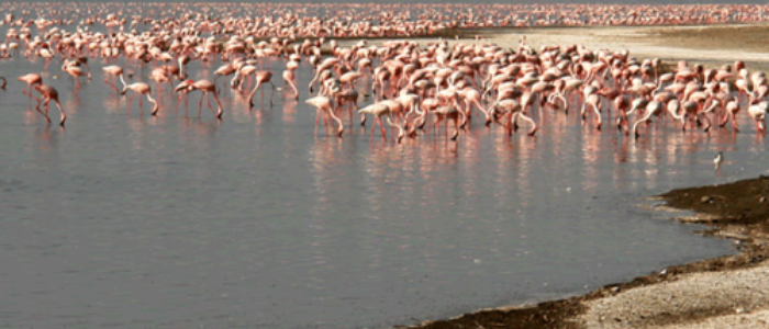 Tour Gallery Image 1