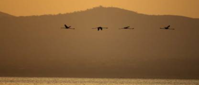 Tour Gallery Image 2