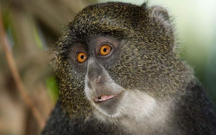 Tour Gallery Image 1