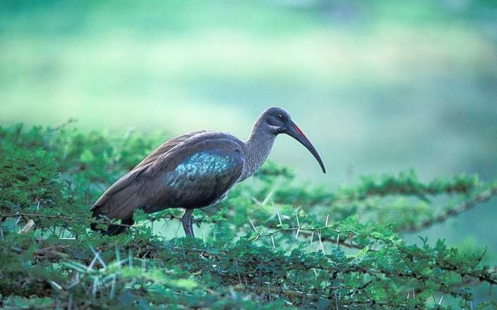 Tour Gallery Image 2