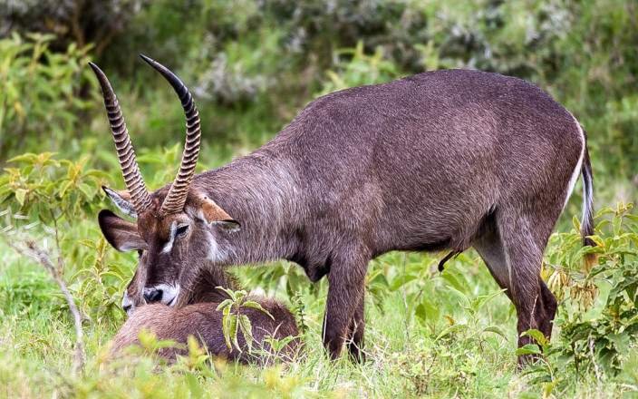 Tour Gallery Image 4