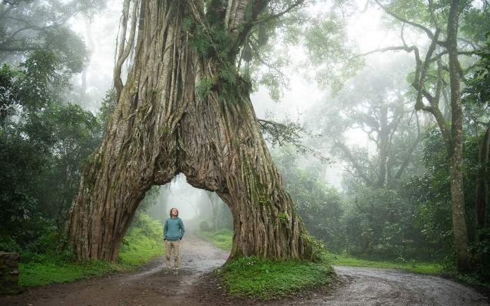 Affordable Exclusivity-Elite Safari Living safari tour