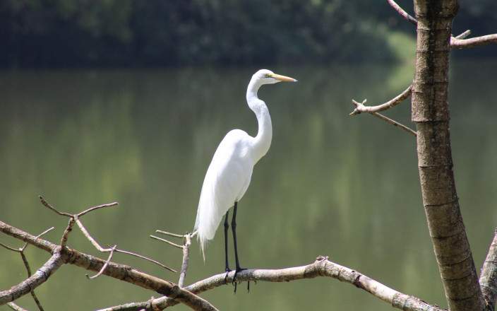 6-Day Affordable Tour - Explore Arusha, Heart of Tourism gallery image