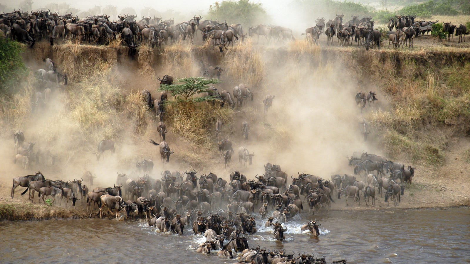 4-Day Amazing Tarangire Np, Serengeti Np +Ngorongoro Crater gallery image