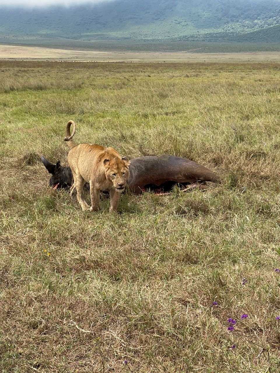 Tour Gallery Image 3