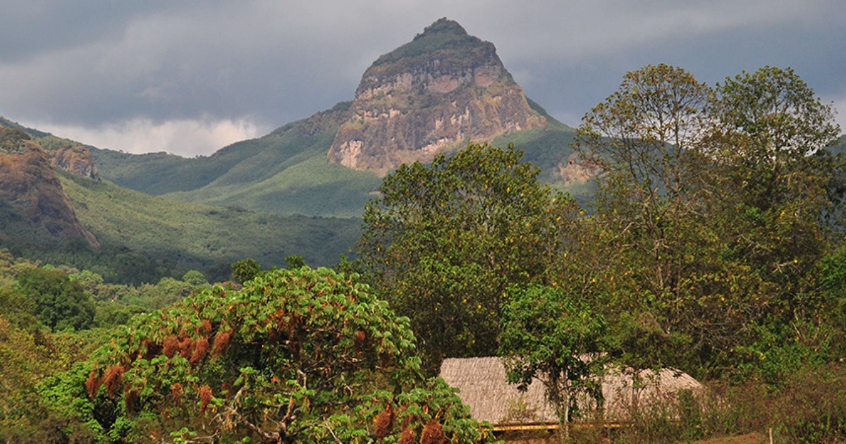 4-Day Bale Mountain National Park Trekking gallery image