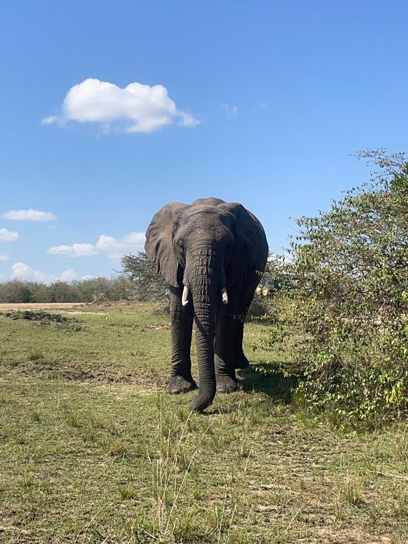 3-Day Best Tarangire, Ngorongoro & Manyara Trip gallery image