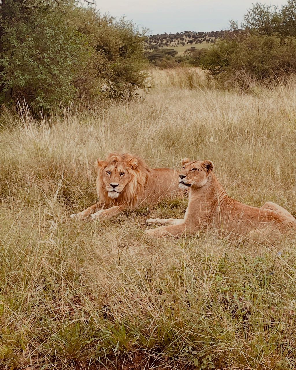 3-Day Best Tarangire, Ngorongoro & Manyara Trip gallery image