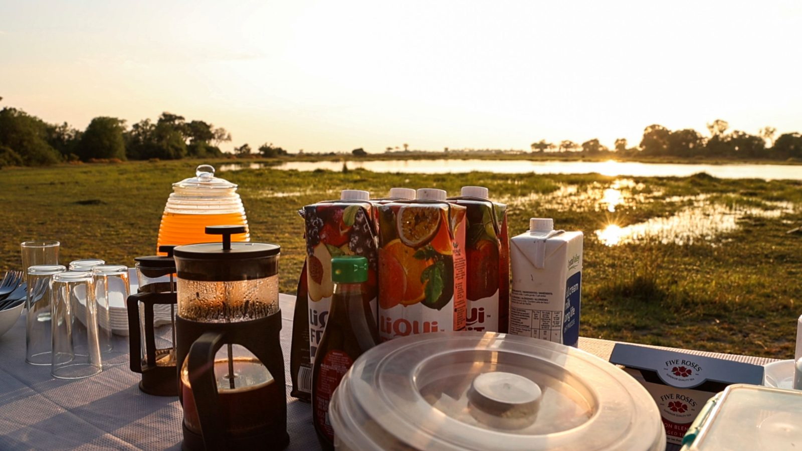 11-Day Botswana Wilderness Explorer Safari gallery image