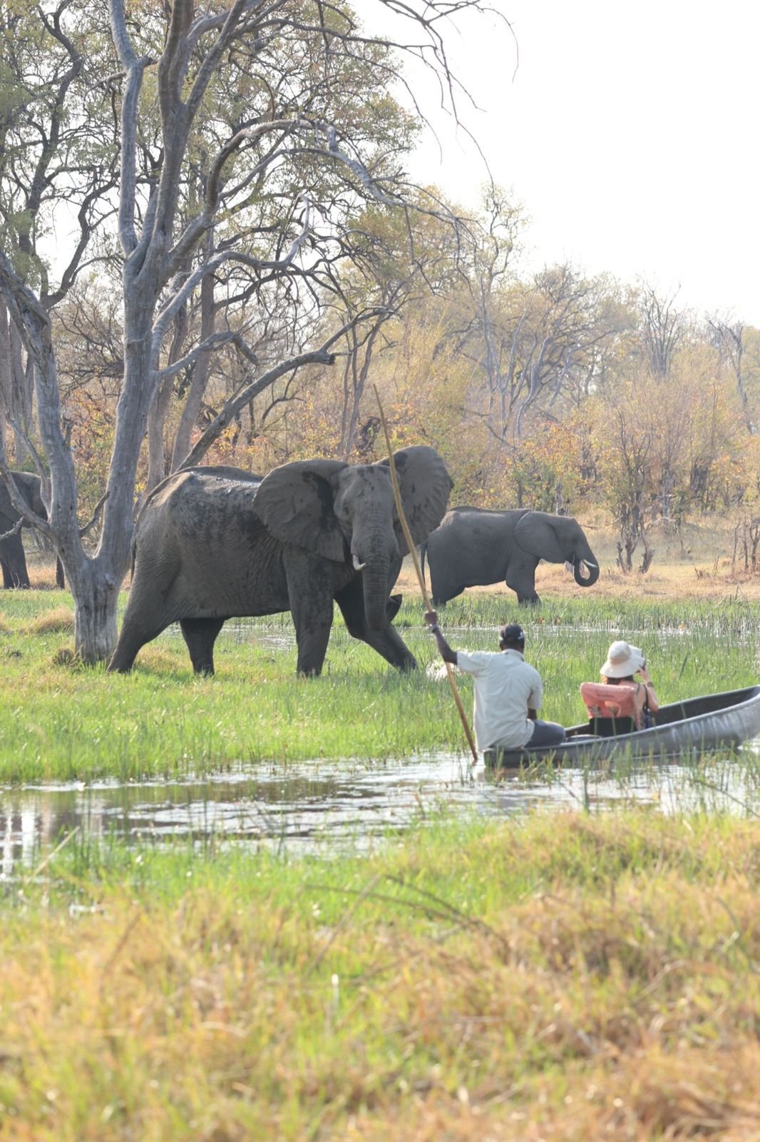 Bush Rover Safaris