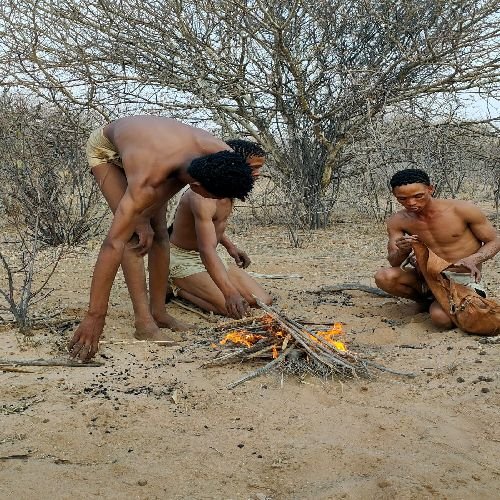 Safari Vendors