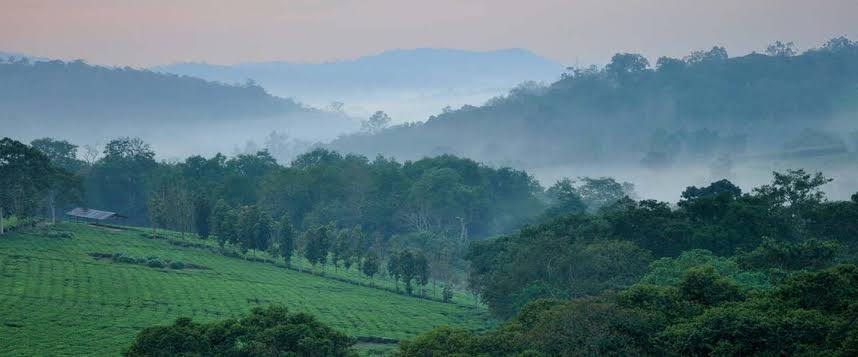 3-Day Bwindi Gorilla Tracking & Batwa Cultural Experience gallery image