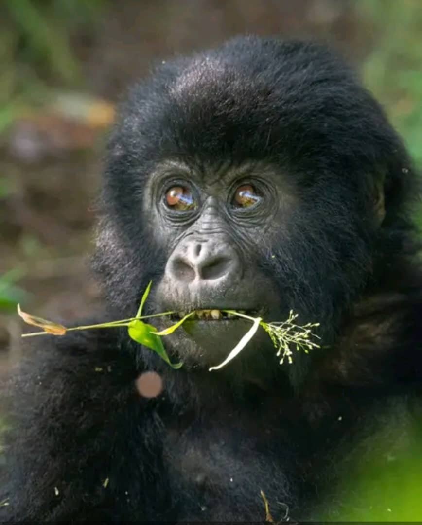 Tour Gallery Image 4