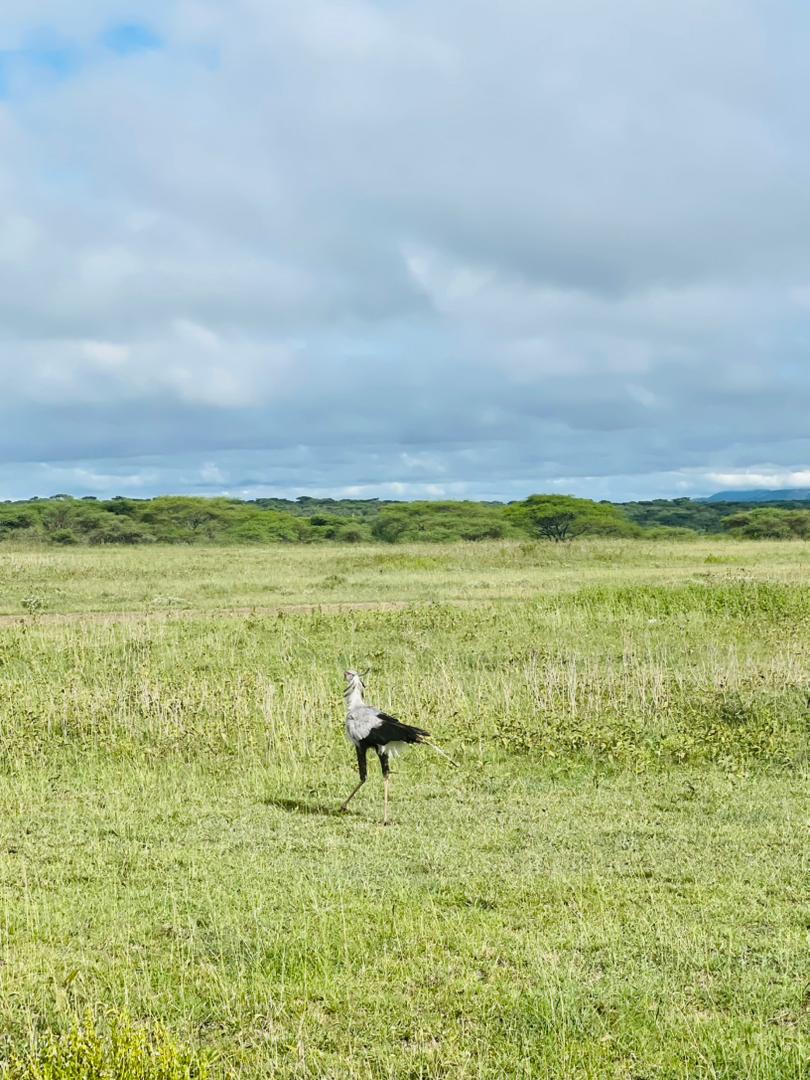 3-Day Camping Safari Starting from Zanzibar gallery image