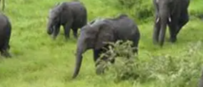 Tour Gallery Image 1