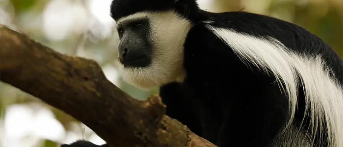 Tour Gallery Image 2