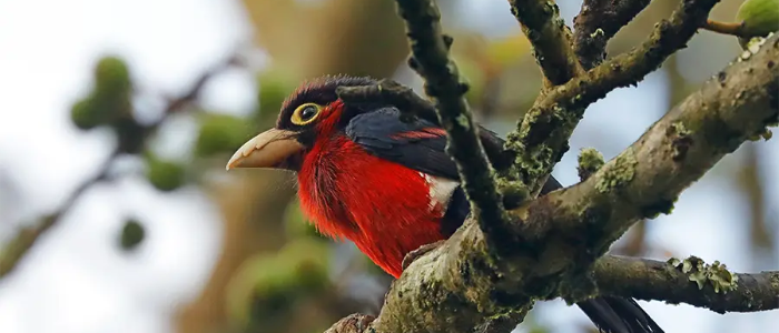 Tour Gallery Image 3