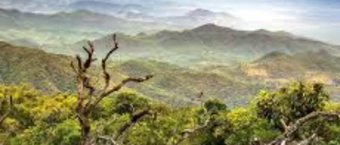 Tour Gallery Image 4