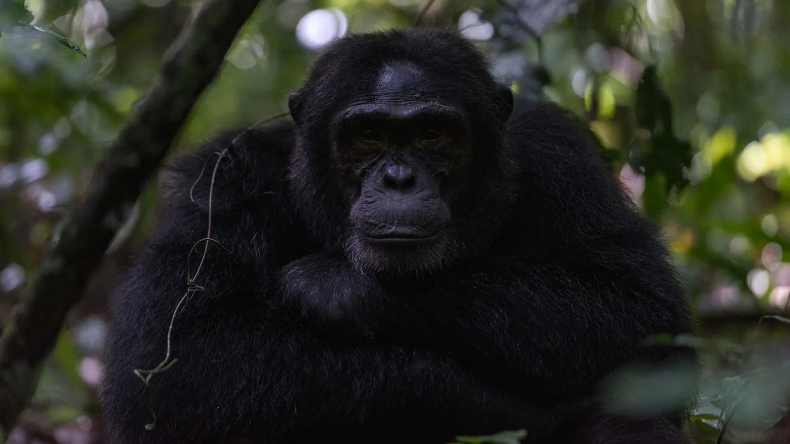 Tour Gallery Image 1