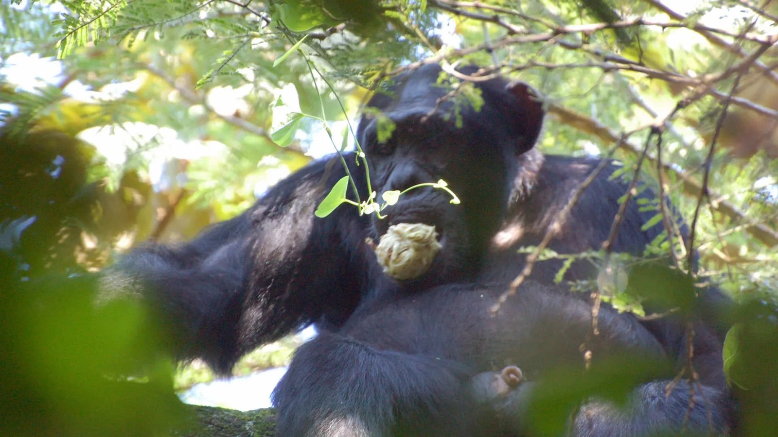 Tour Gallery Image 1