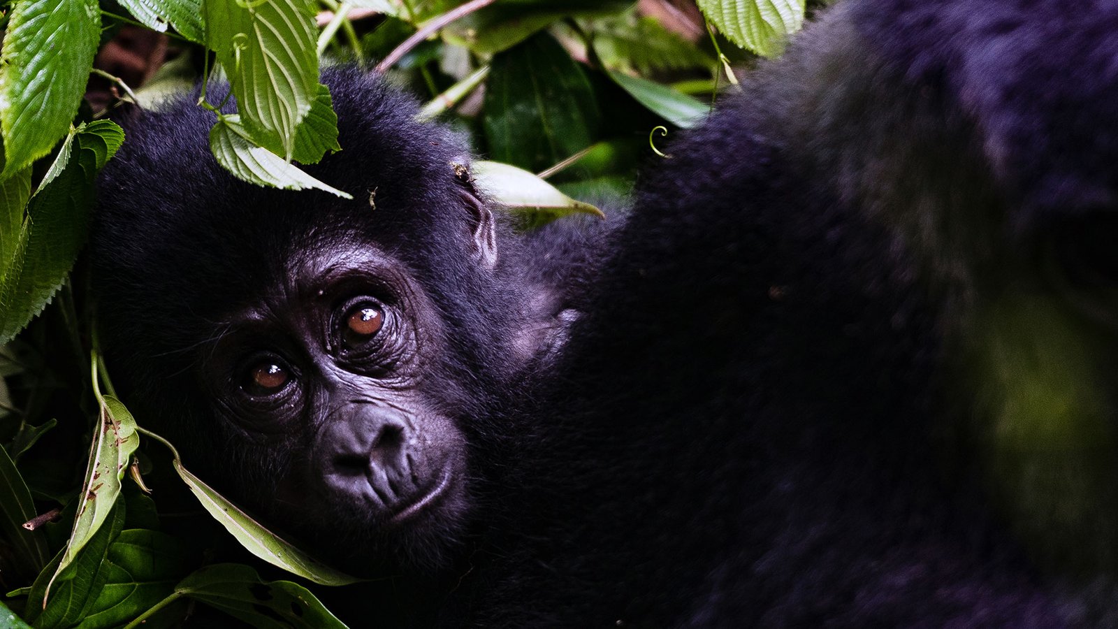 Tour Gallery Image 2