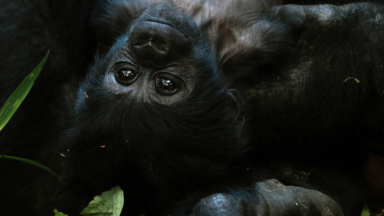 Tour Gallery Image 4