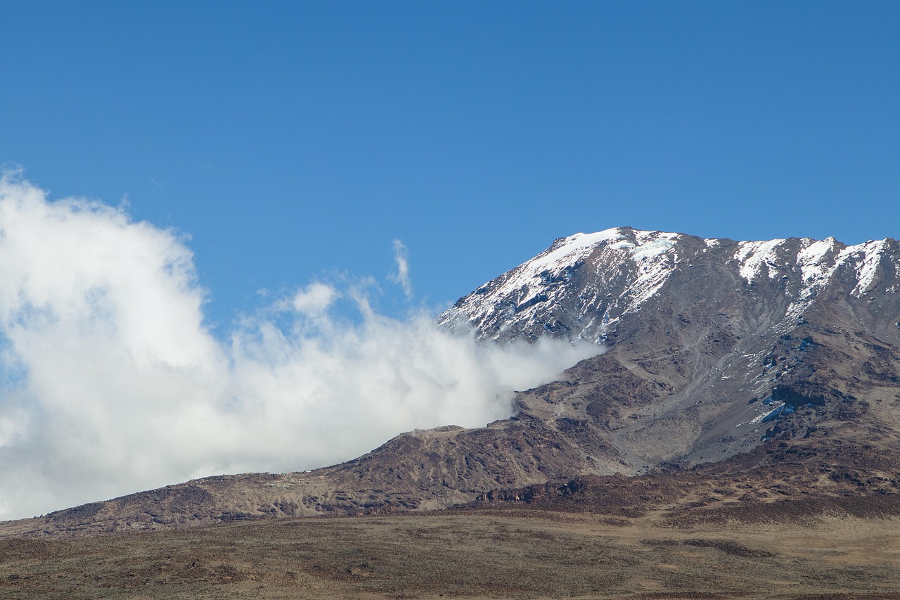 12-Day Combine Tour Kilimanjaro Trek's & Serengeti Park gallery image