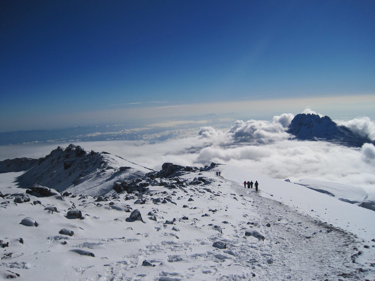 12-Day Combine Tour Kilimanjaro Trek's & Serengeti Park