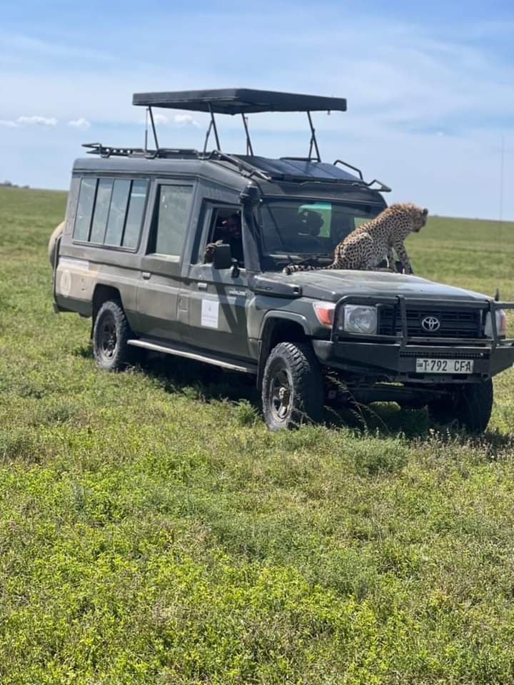 Tour Gallery Image 3